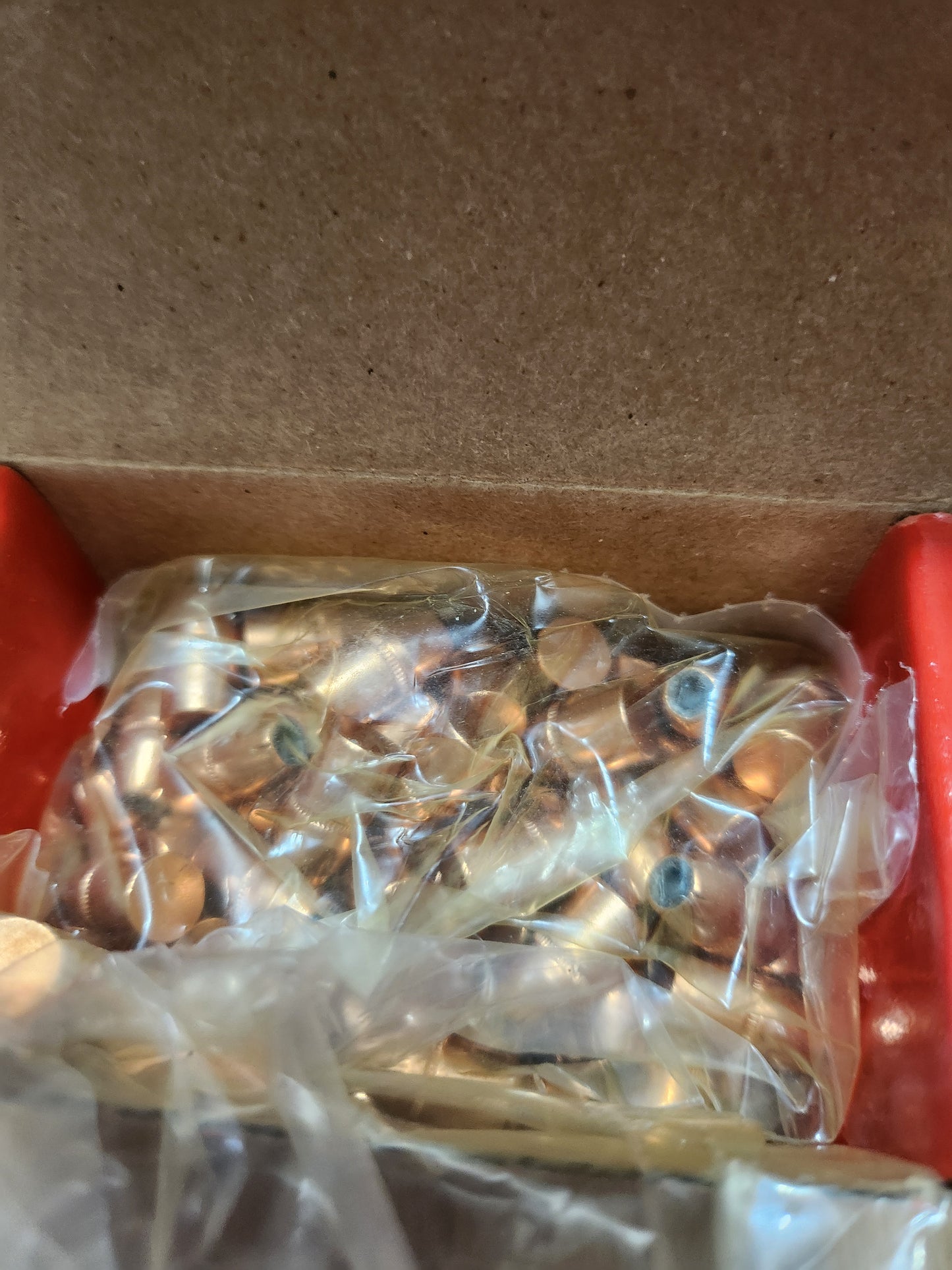 32 cal 100 gr XTP Bullets