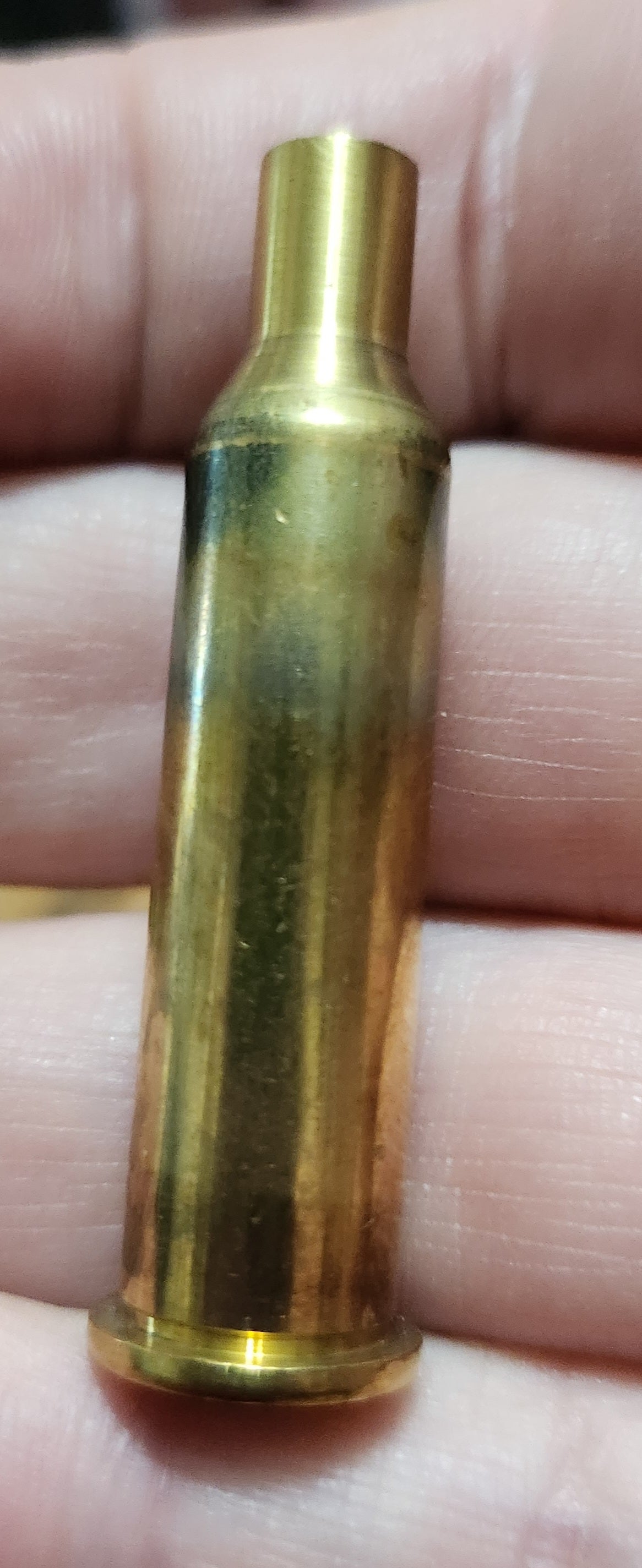 219 Donaldson Wasp brass